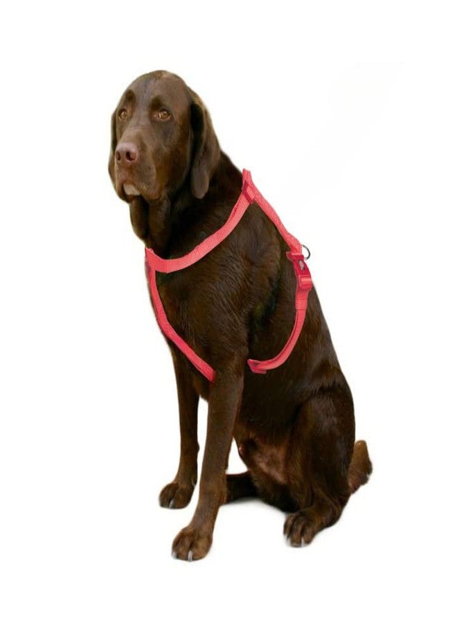 Trixie Premium Touring Harness for Dogs Made with Fleece Padding, Adjustable, and Lightweight Strong D-Ring Keeps The Harness and Leash in Place (S-M, Coral) - Image 5